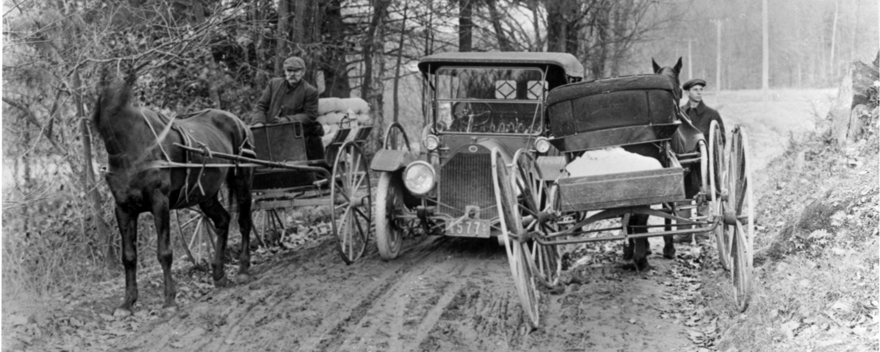 two carriages pulled by horses passing car