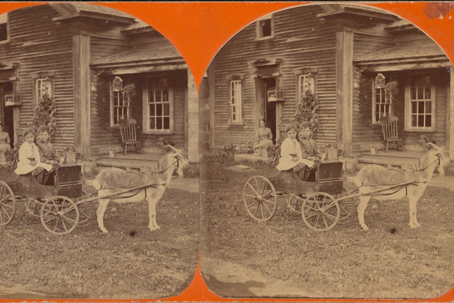 black and white double photo of kids in car being pulled by goat