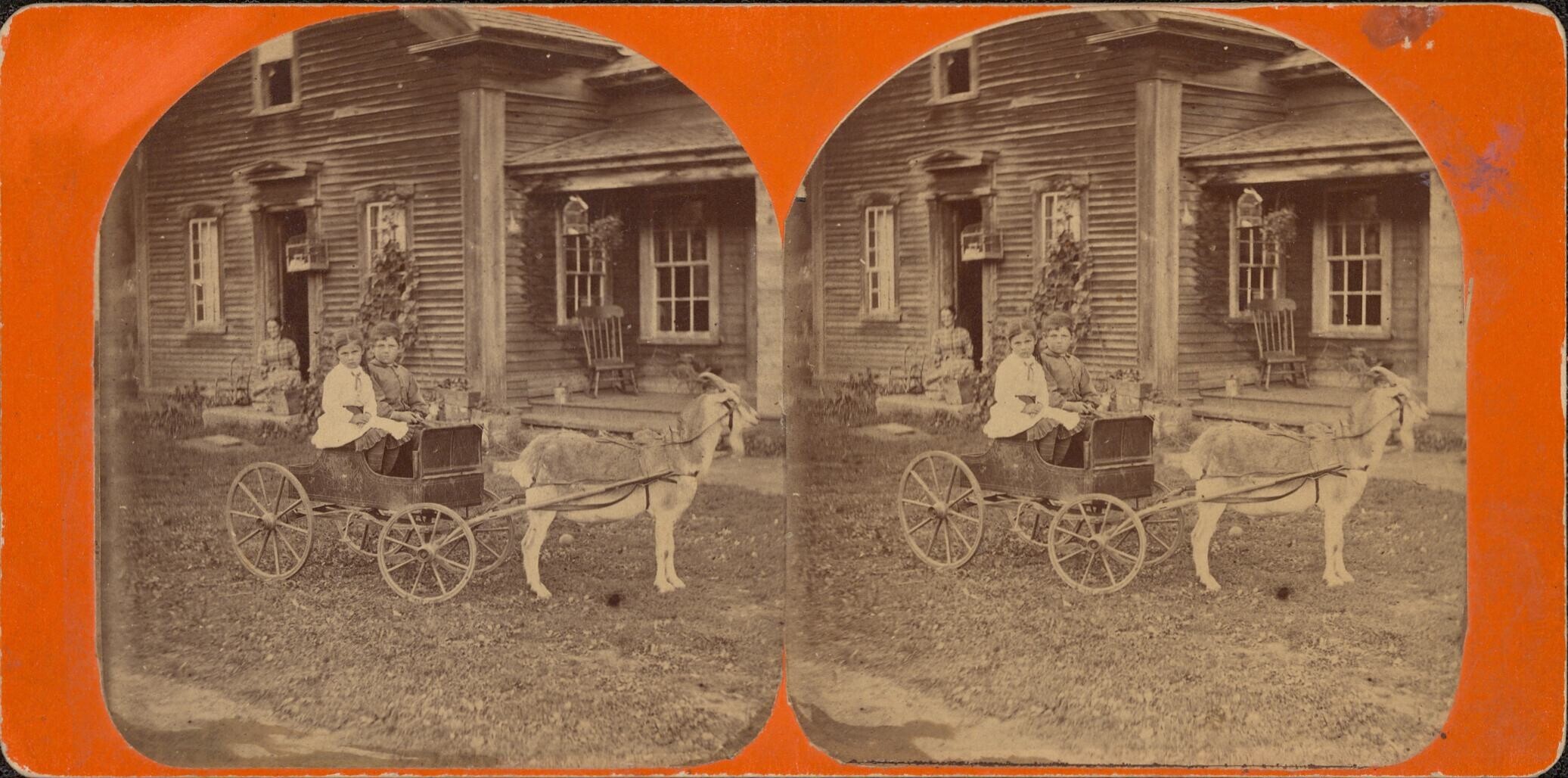 black and white double photo of kids in car being pulled by goat